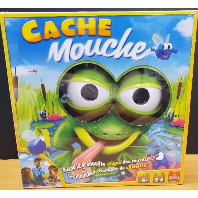 Cache-Mouche